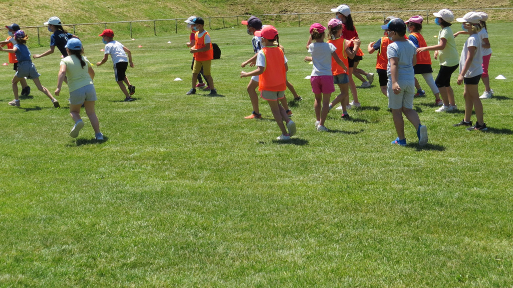 rugby 21